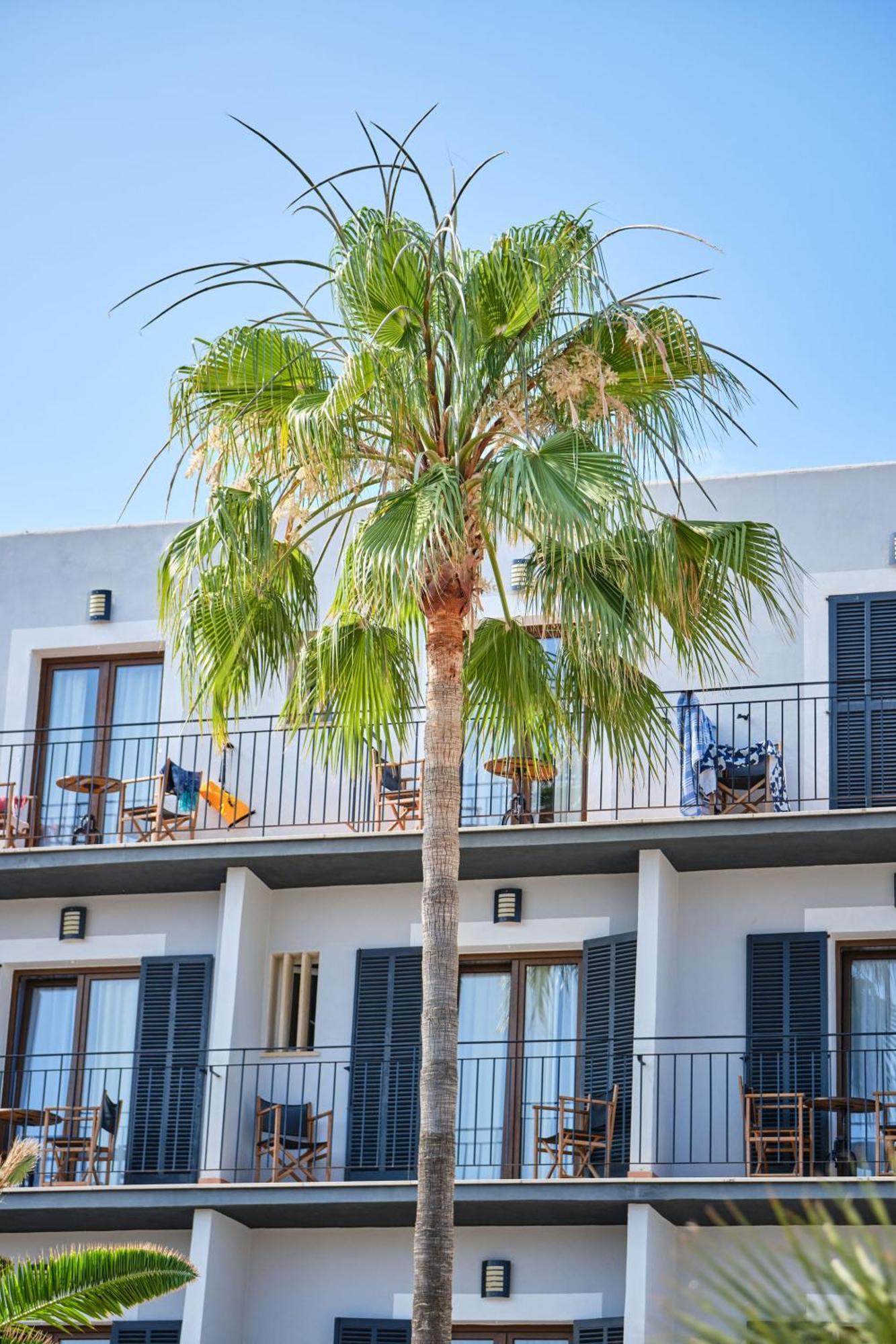 Hotel Boutique Bon Repos - Adults Only Santa Ponsa Exterior foto